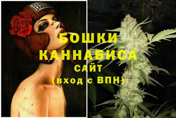 шишки Протвино