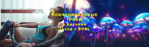 индика Абдулино
