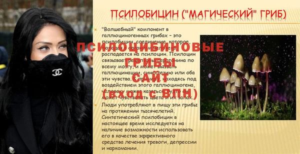 индика Абдулино