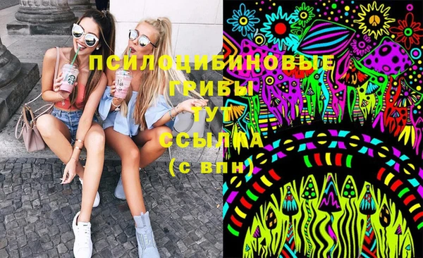 дмт Пролетарск