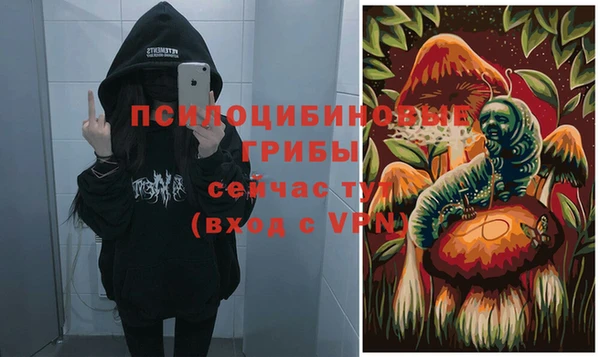 спайс Абаза