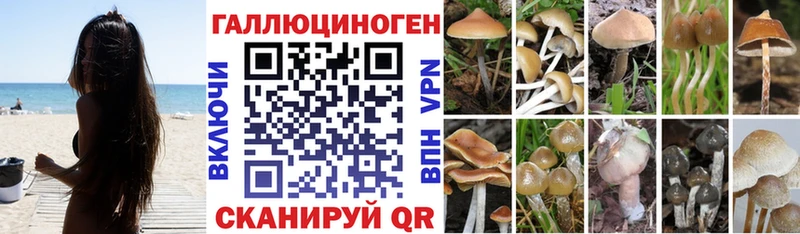 Псилоцибиновые грибы Magic Shrooms  Жердевка 